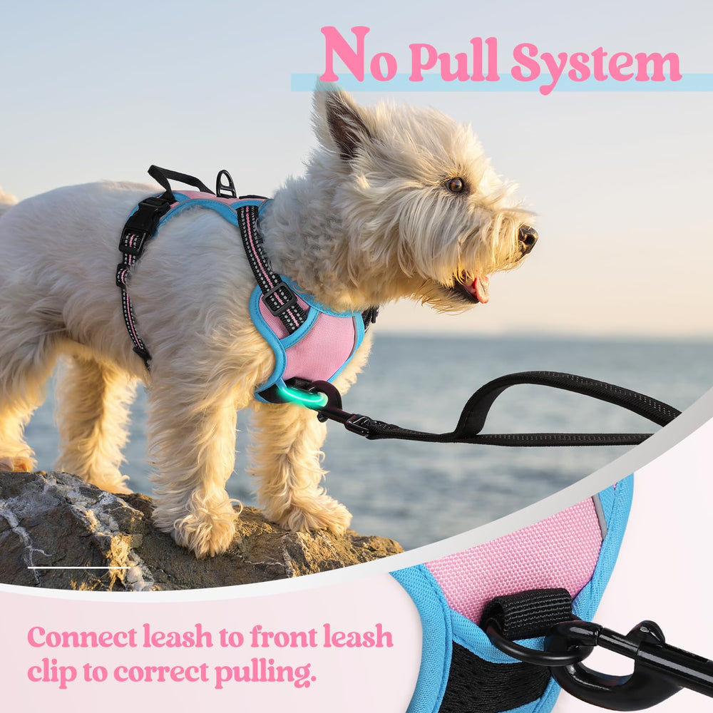 rabbitgoo Dog Harness detail showing its adjustable straps and quick-release buckles.