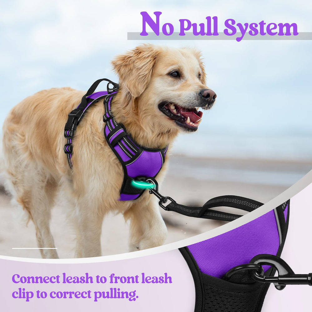 rabbitgoo Dog Harness detail showing its adjustable straps and quick-release buckles.
