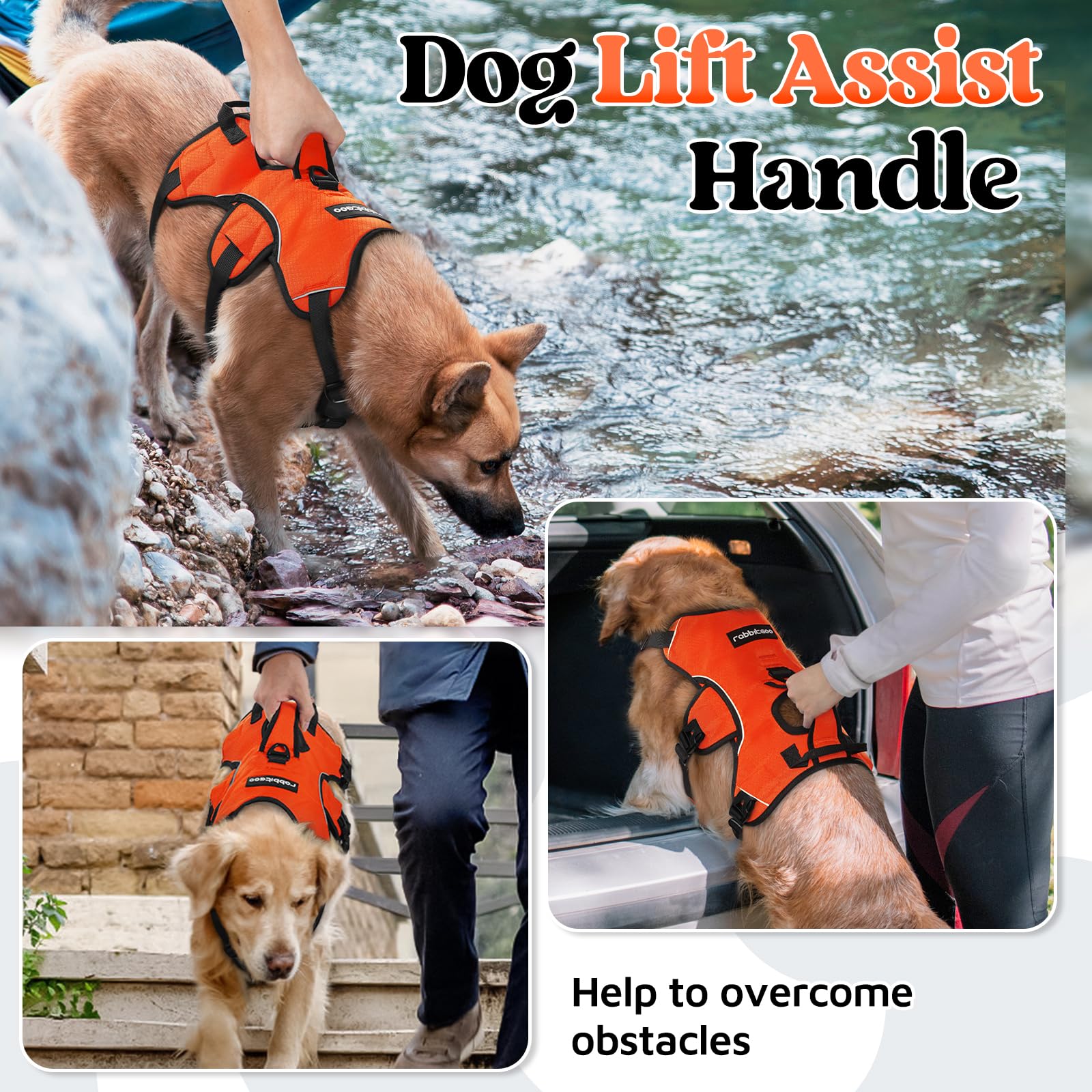 rabbitgoo dog harness detail showing the adjustable neck, chest, and belly straps.