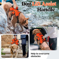 rabbitgoo dog harness detail showing the adjustable neck, chest, and belly straps.