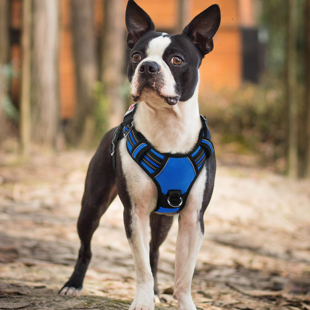 rabbitgoo dog harness adjustable sliders and flexible straps.