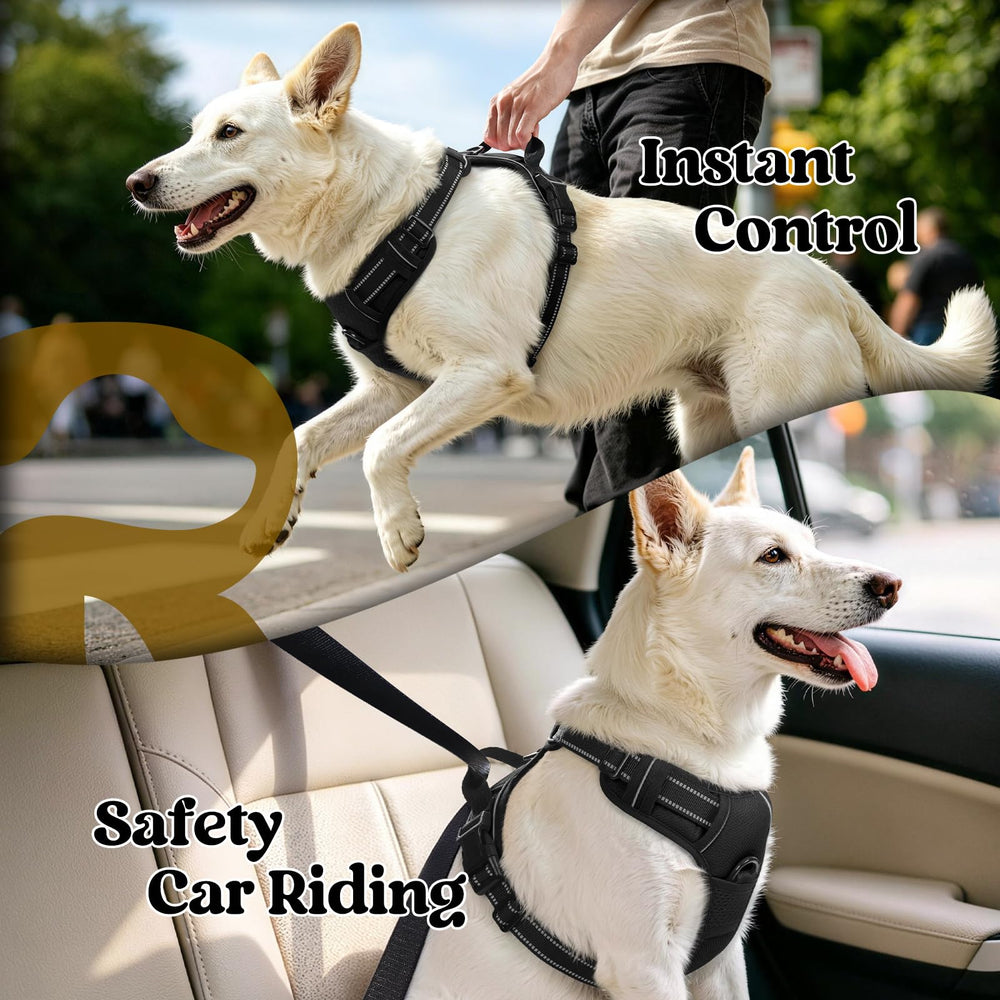 Adjustable straps on the rabbitgoo dog harness.