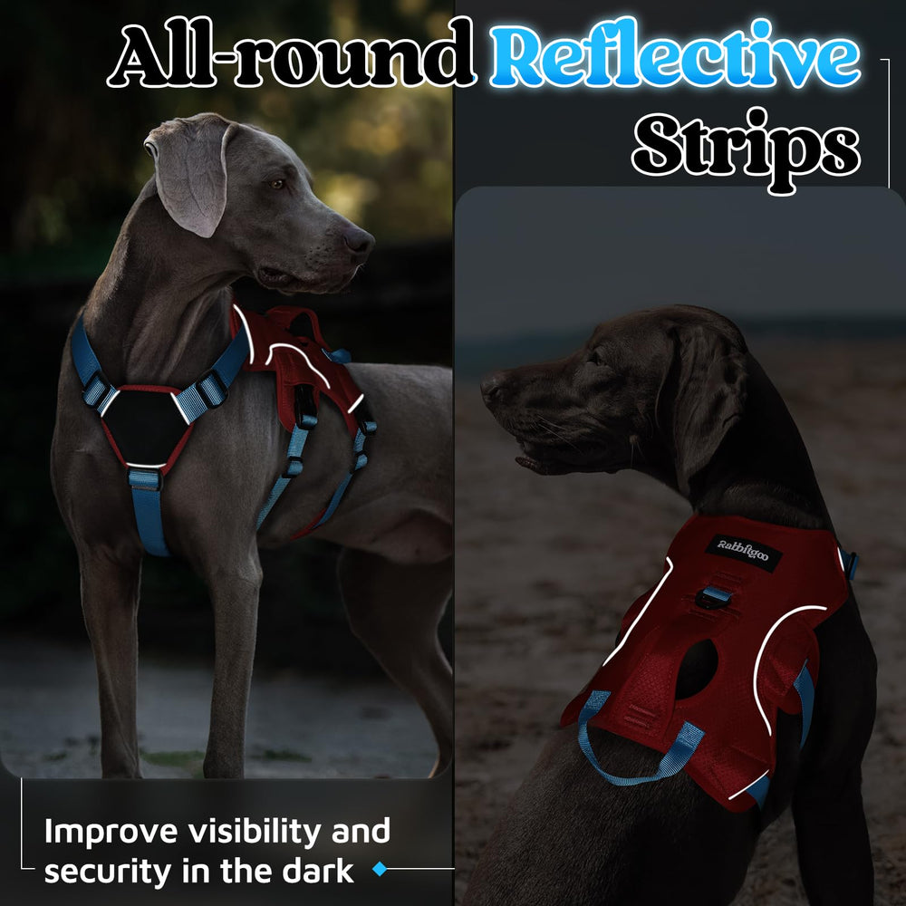 rabbitgoo dog harness showing its adjustable neck and chest-belly points.