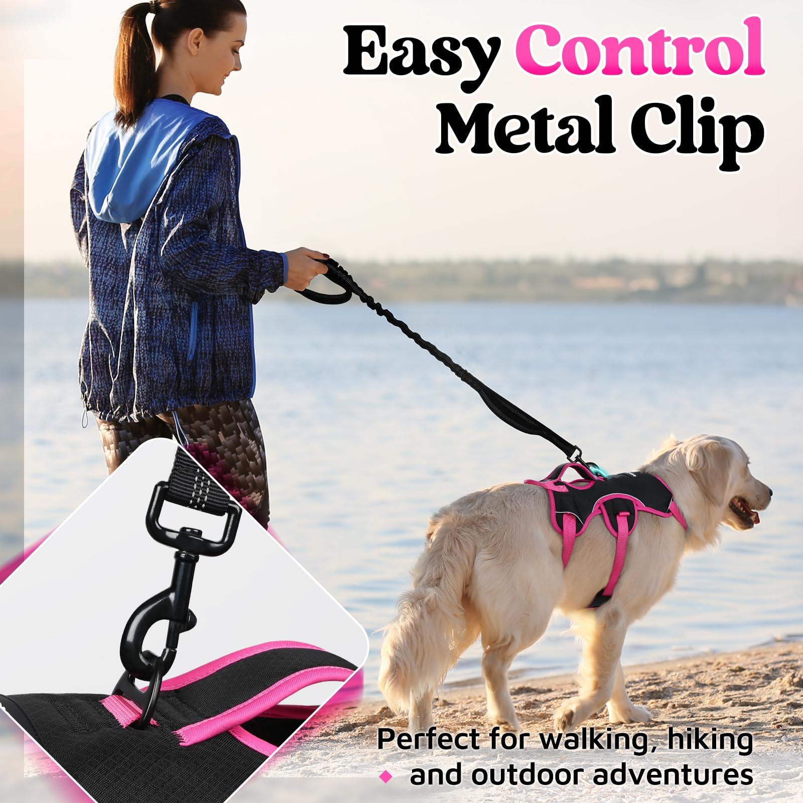 rabbitgoo dog harness showing its adjustable fit points.