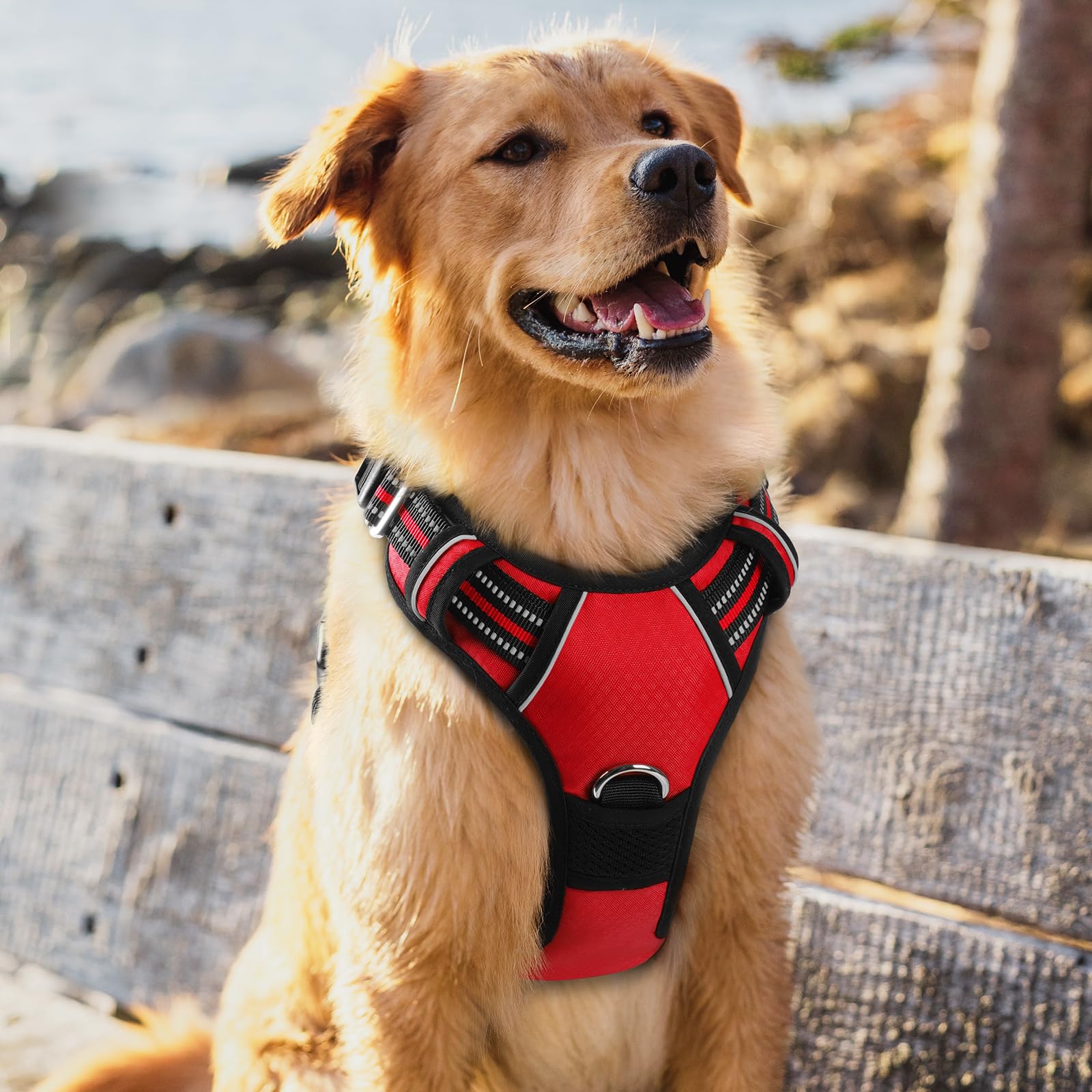 rabbitgoo dog harness adjustable sliders and flexible straps.