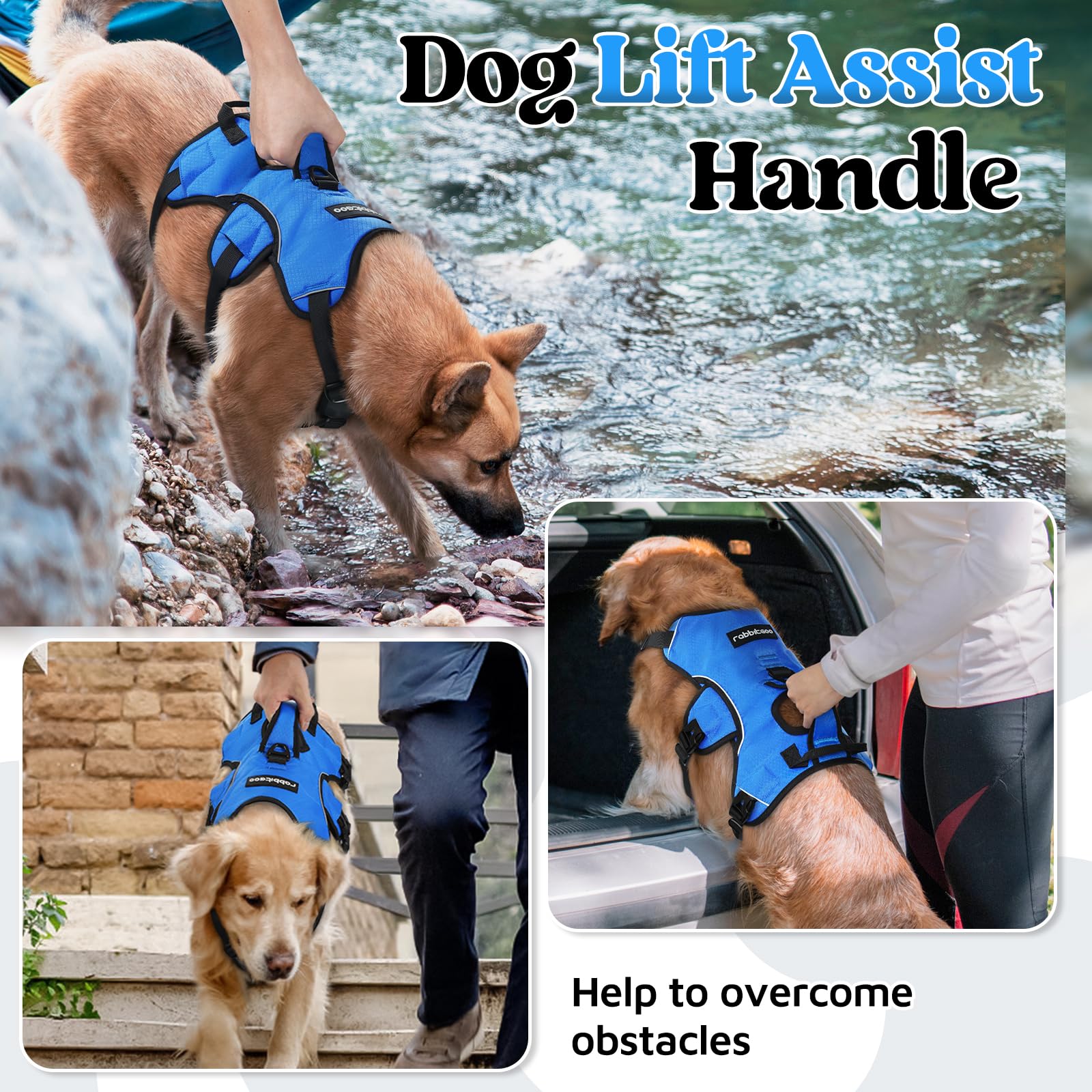 rabbitgoo dog harness adjustment straps arranged around the neck and chest.