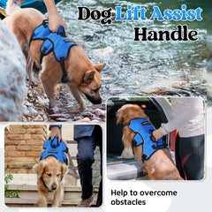 rabbitgoo dog harness adjustment straps arranged around the neck and chest.