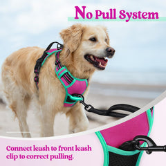 rabbitgoo dog harness adjustable straps and quick-release buckles.
