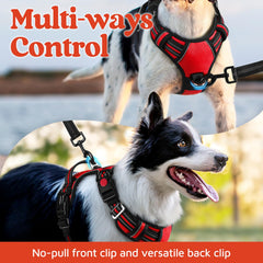 rabbitgoo dog harness air mesh and soft cushioning close-up.
