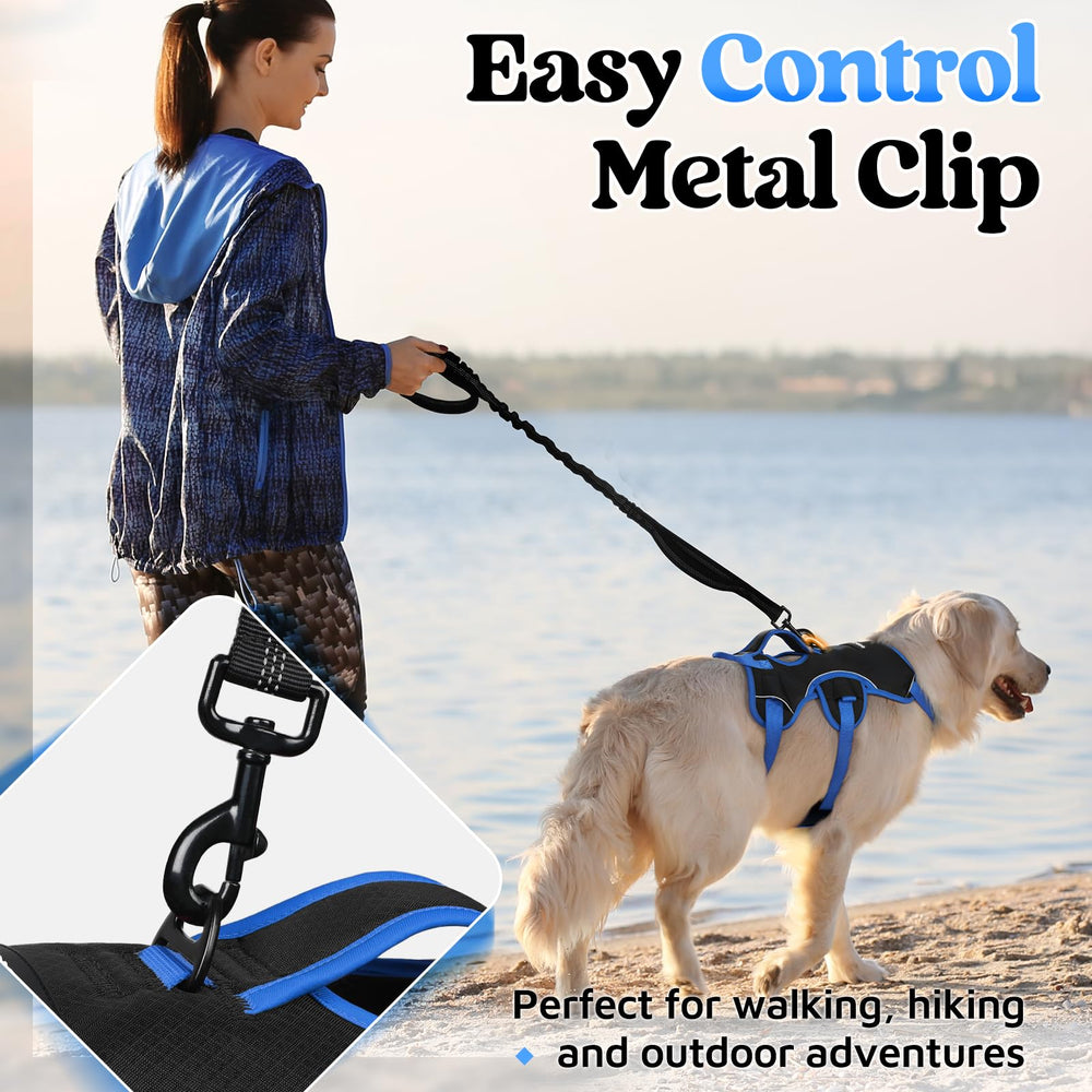 rabbitgoo dog harness showing its breathable padded air mesh.