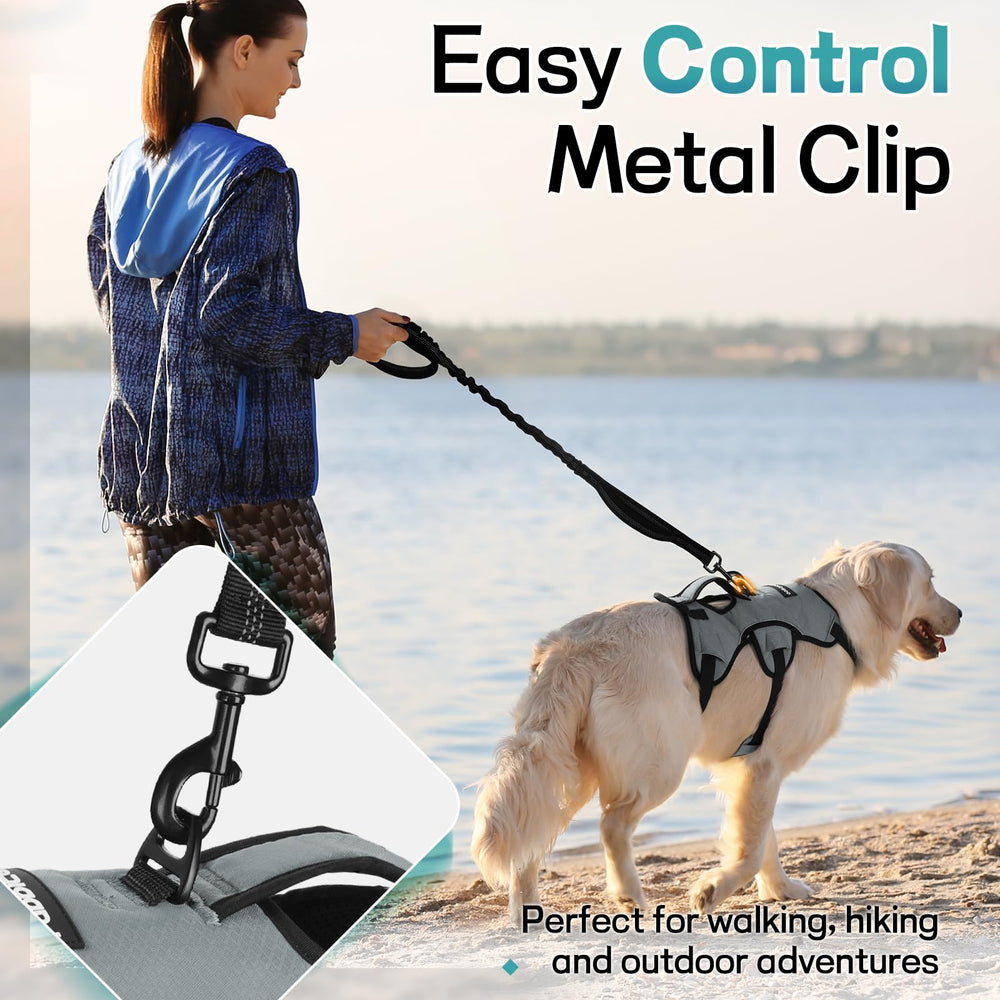 rabbitgoo dog harness breathable air mesh padding shown close up.