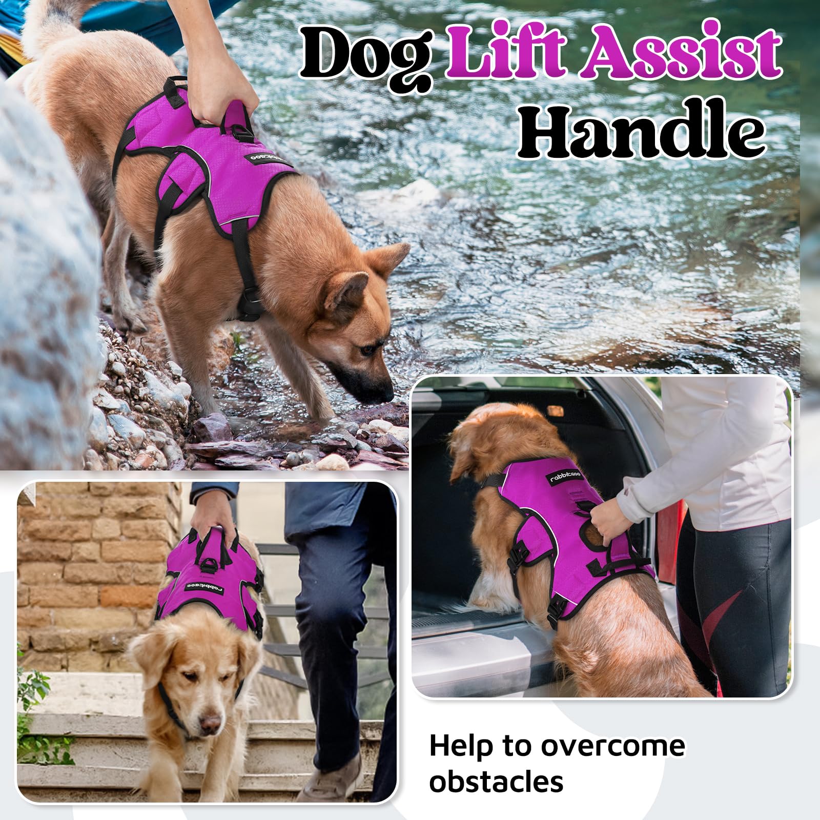 rabbitgoo dog harness showing the breathable padded air mesh and soft sponge cushioning.
