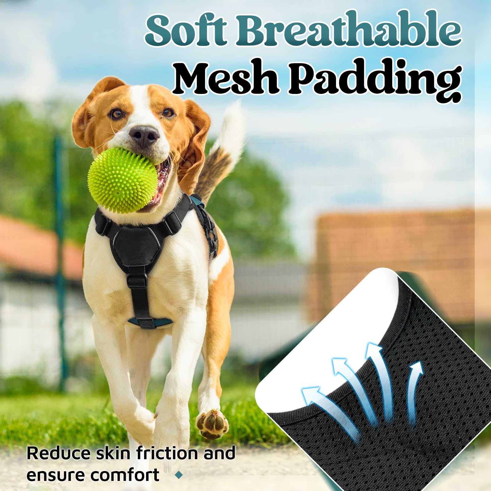 rabbitgoo dog harness breathable padded air mesh shown in close-up.
