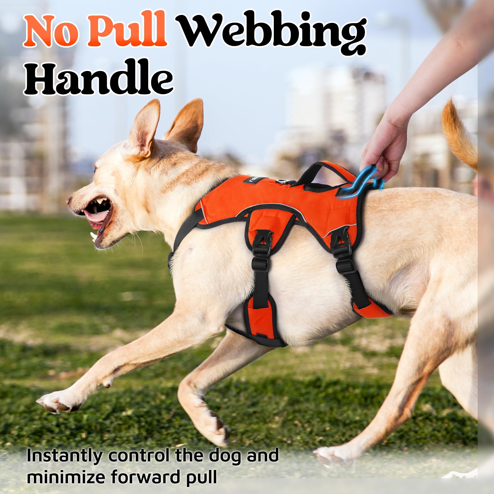 rabbitgoo dog harness close-up of its breathable padded air mesh and soft cushioning.