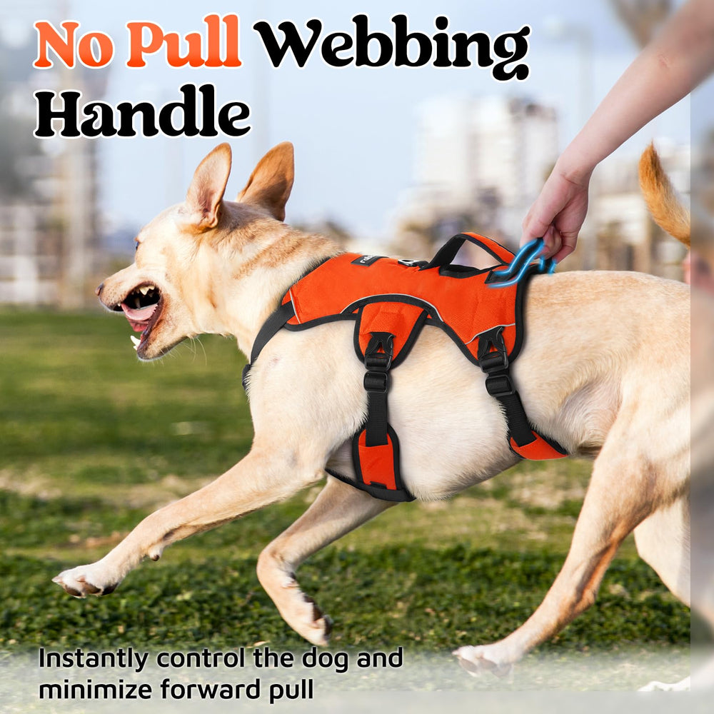 rabbitgoo dog harness close-up of its breathable padded air mesh and soft cushioning.