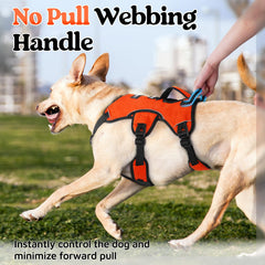 rabbitgoo dog harness close-up of its breathable padded air mesh and soft cushioning.