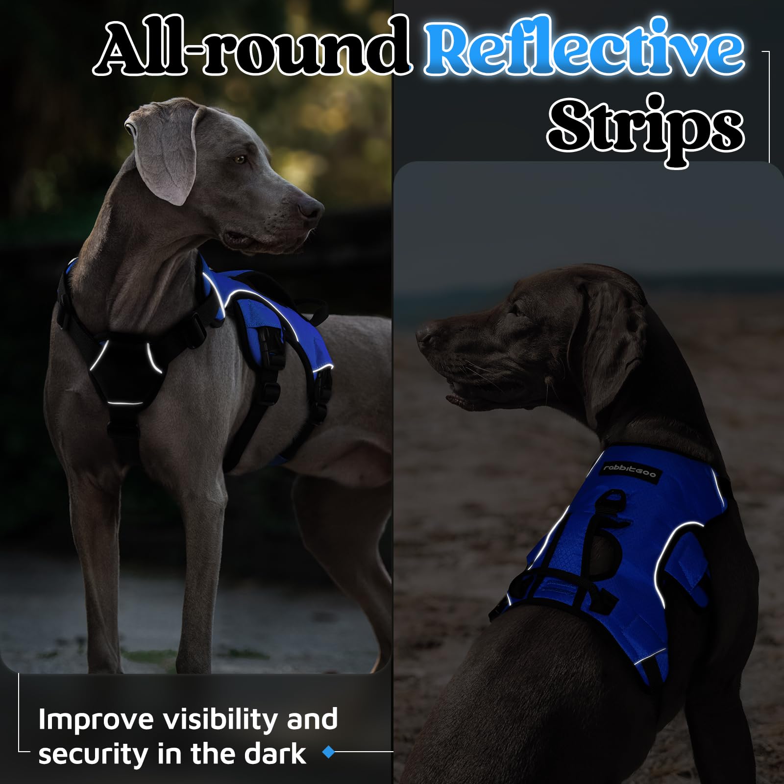 rabbitgoo dog harness used to assist a dog during an outdoor walk.