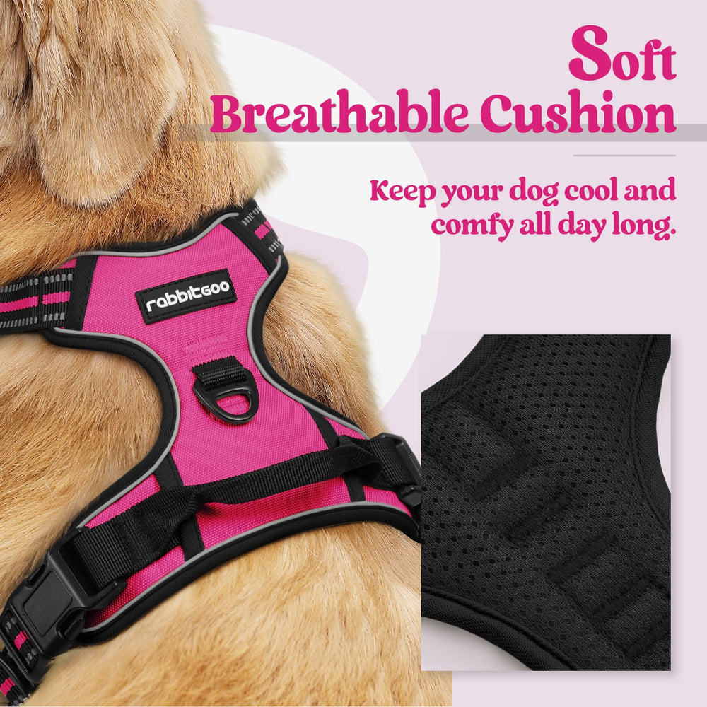 rabbitgoo dog harness shown from a rear angle.