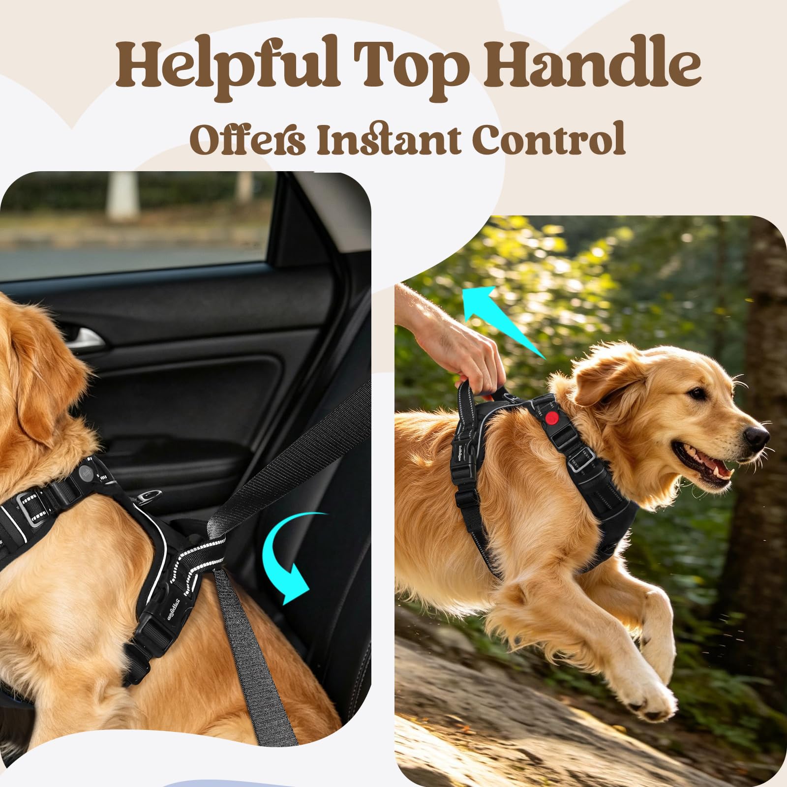 rabbitgoo Dog Harness close-up showing the back clip attachment point.