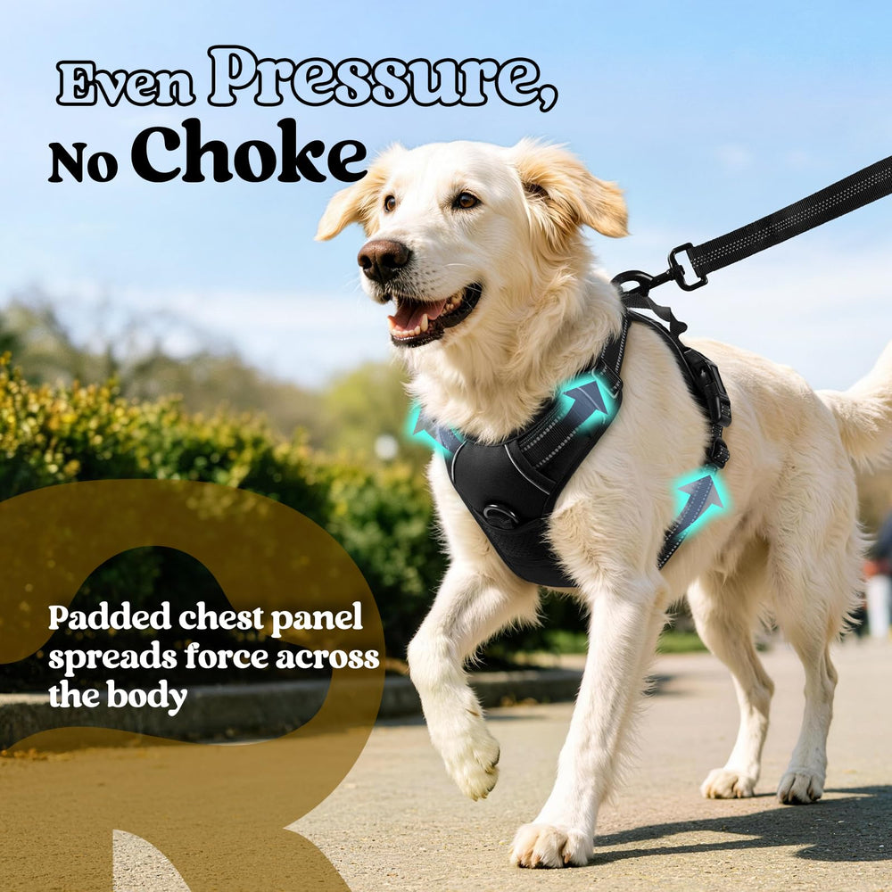 Close-up of the back leash clip on the rabbitgoo dog harness.