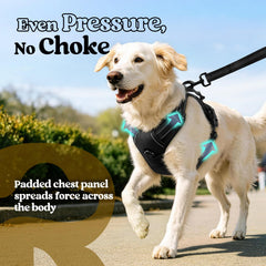 Close-up of the back leash clip on the rabbitgoo dog harness.