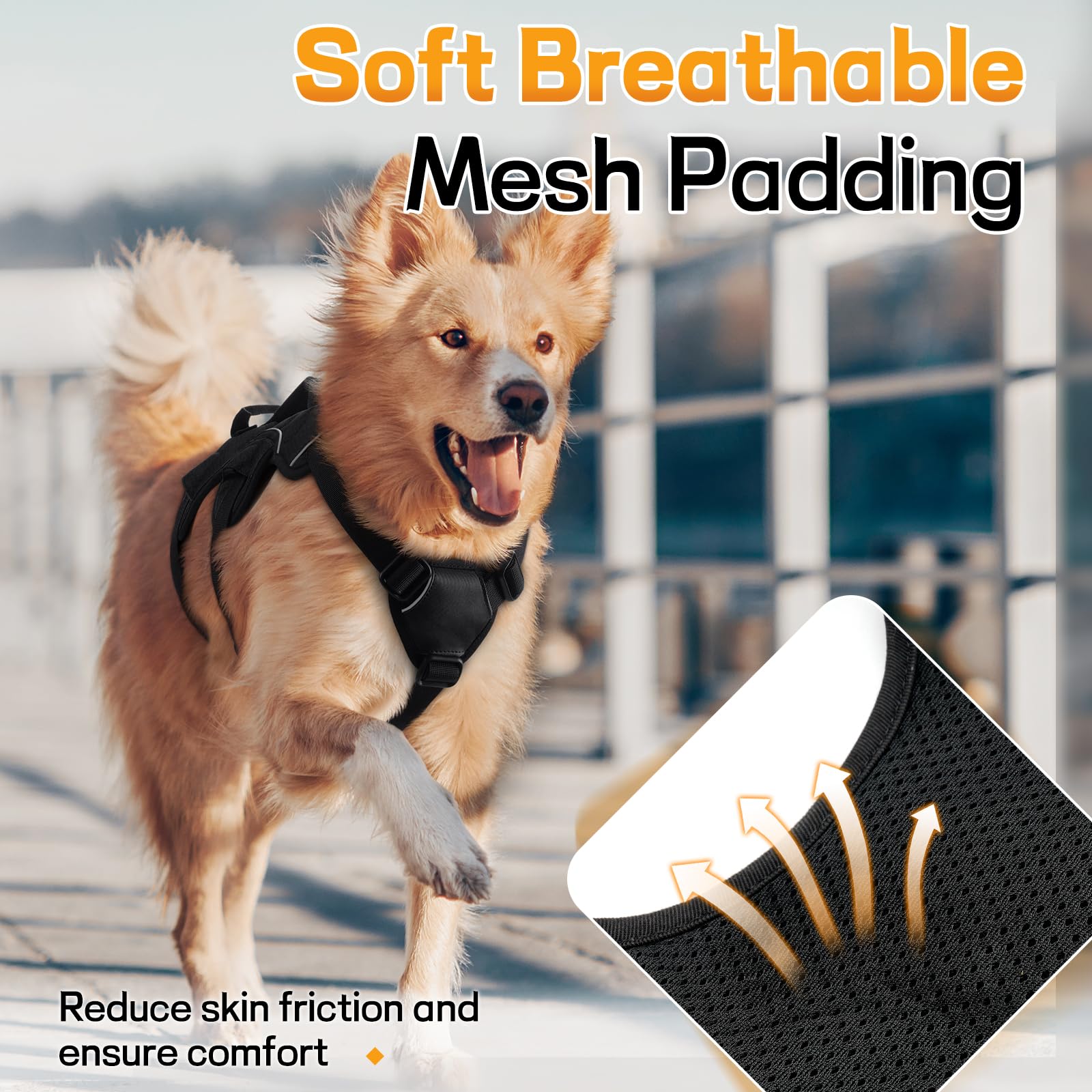 Back metal D-ring on the rabbitgoo dog harness shown in detail.