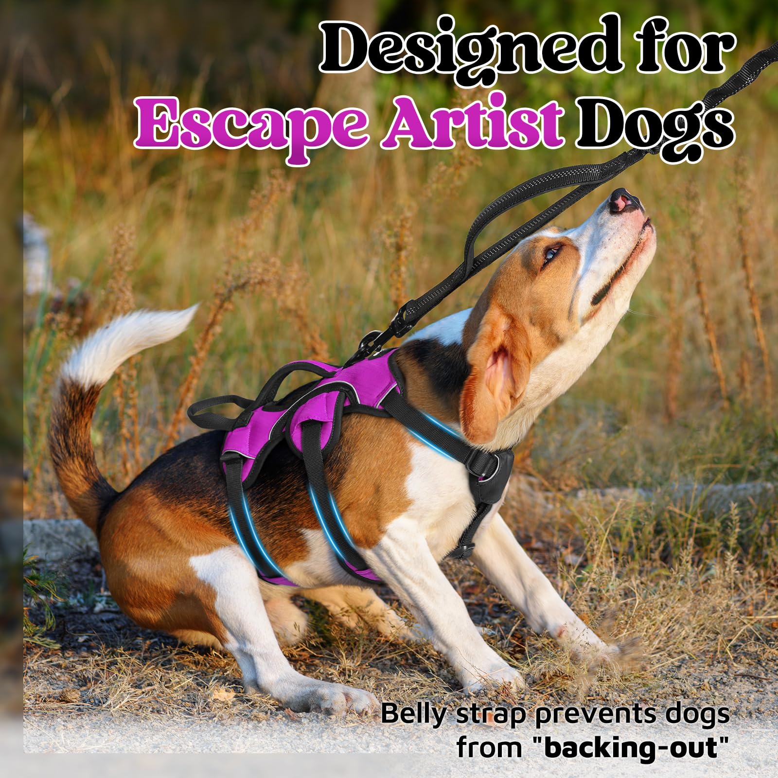 rabbitgoo dog harness shown from behind with the back metal D-ring visible.