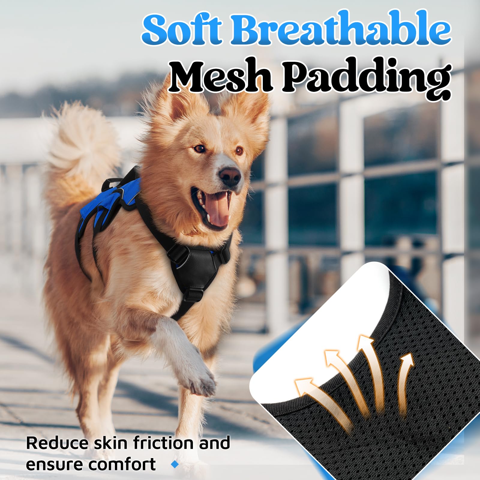 rabbitgoo dog harness back metal D-ring shown as a leash attachment point.