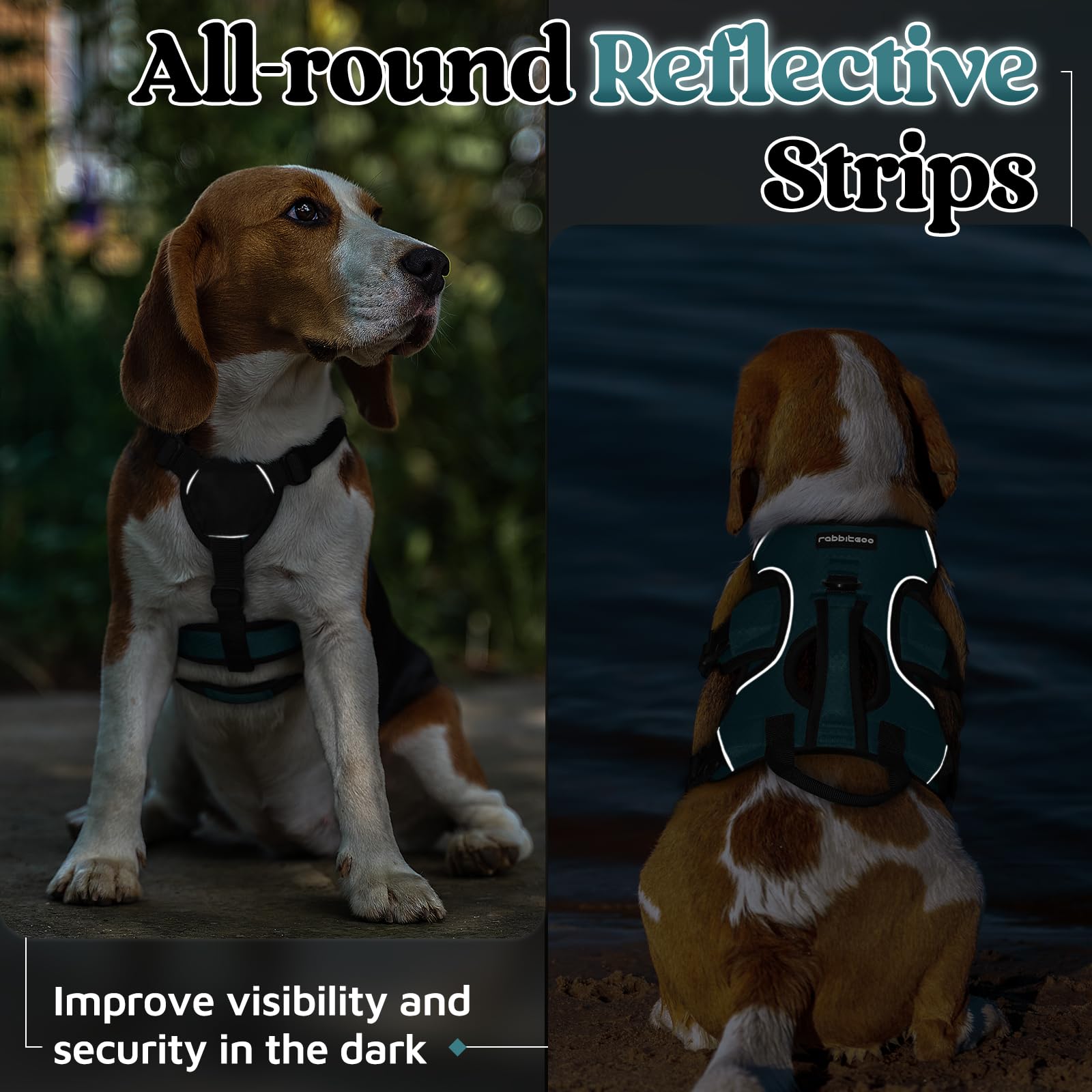 rabbitgoo dog harness sealed metal D-ring shown at the back.