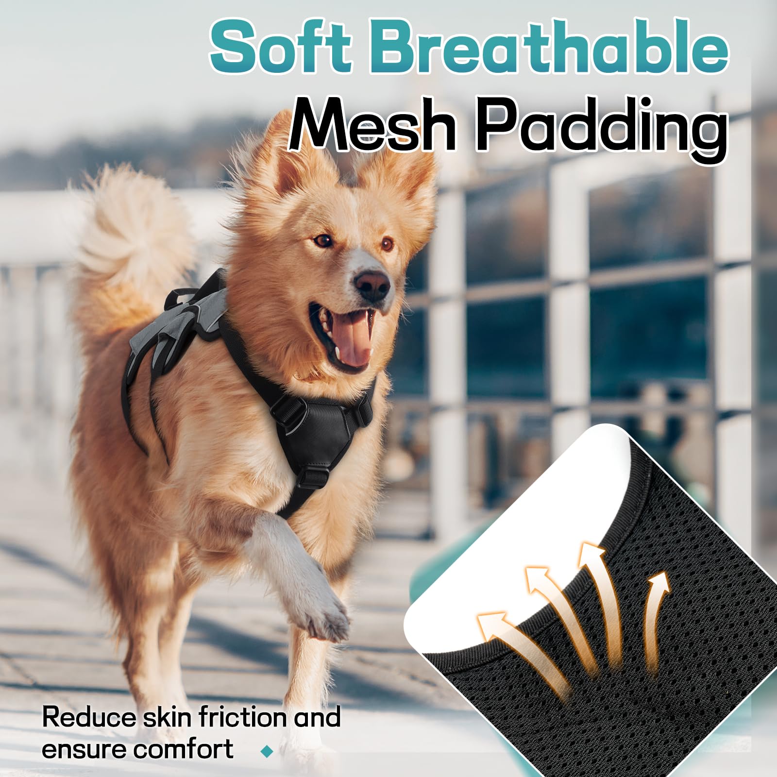 rabbitgoo dog harness sealed metal back D-ring shown for leash attachment.