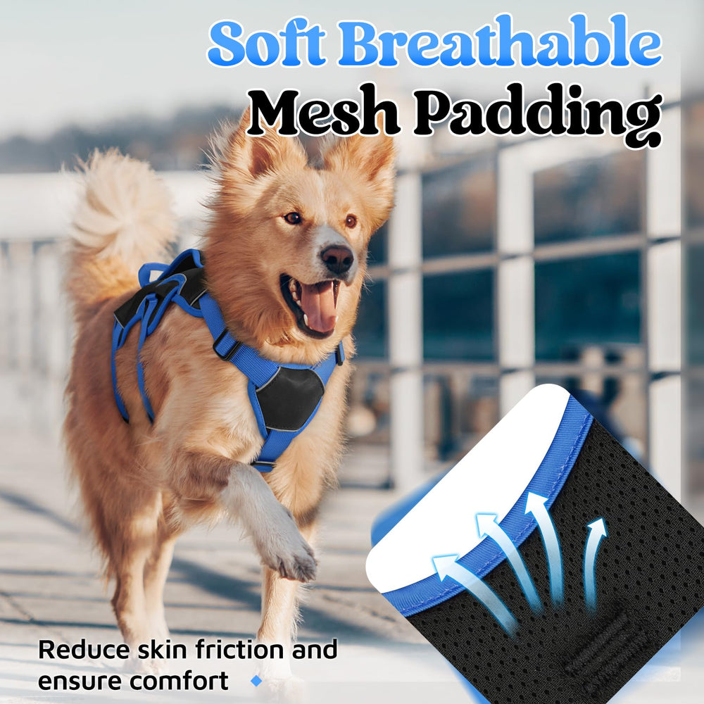 rabbitgoo dog harness showing the metal D-ring on the back.