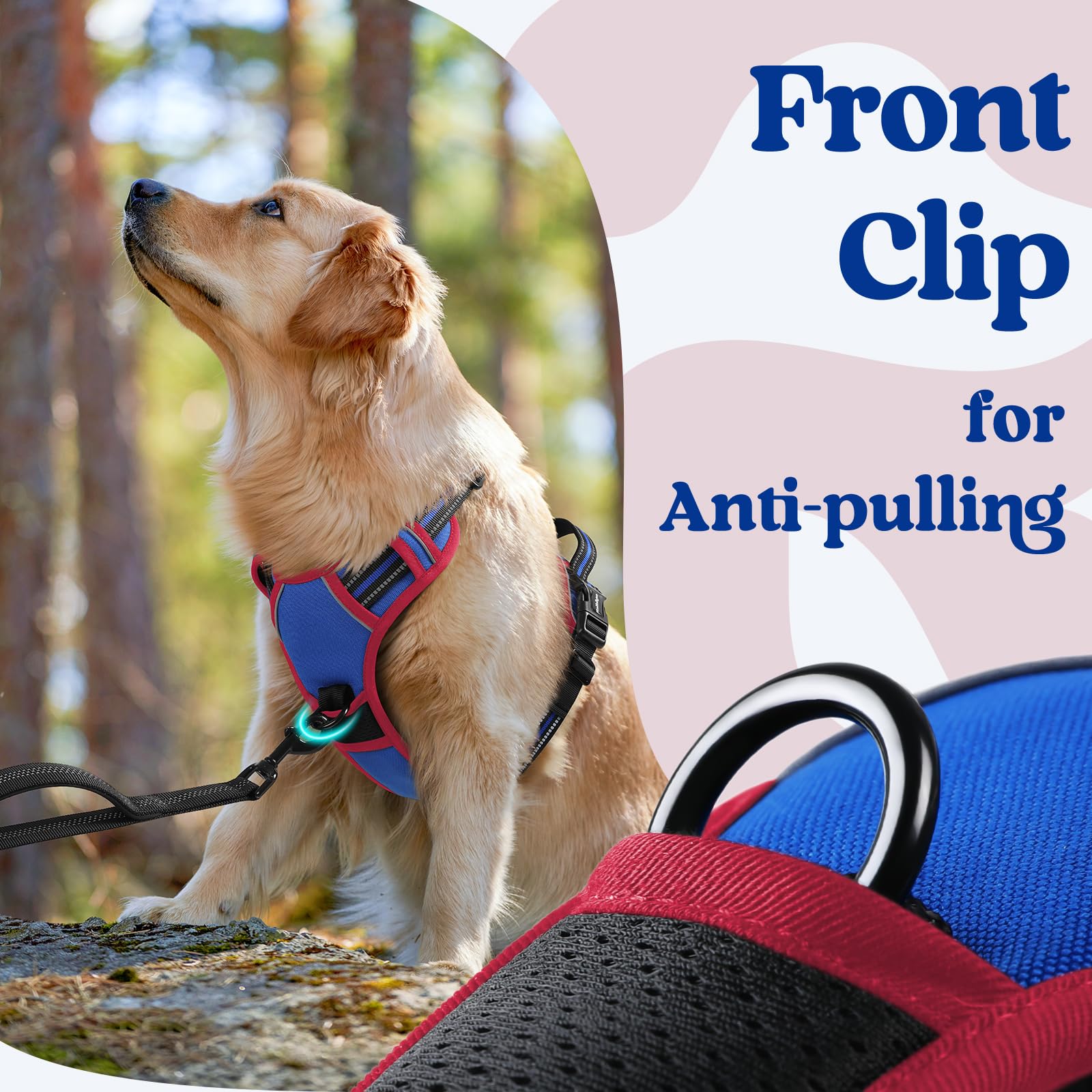 rabbitgoo dog harness with the back leash clip highlighted.