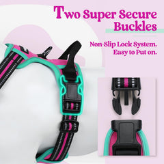 rabbitgoo dog harness back leash attachment loop shown in detail.