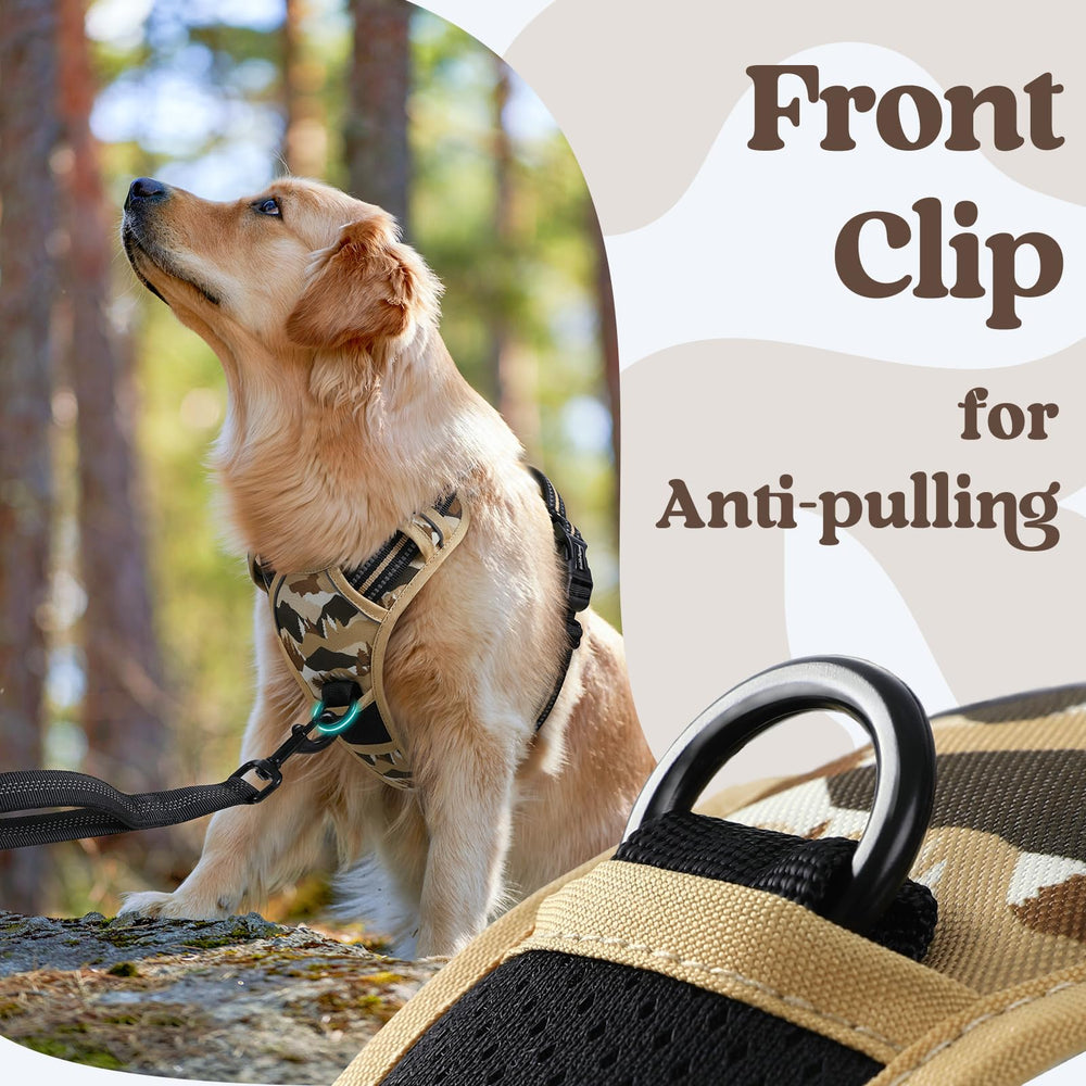 rabbitgoo Dog Harness for Large showing the back leash clip.