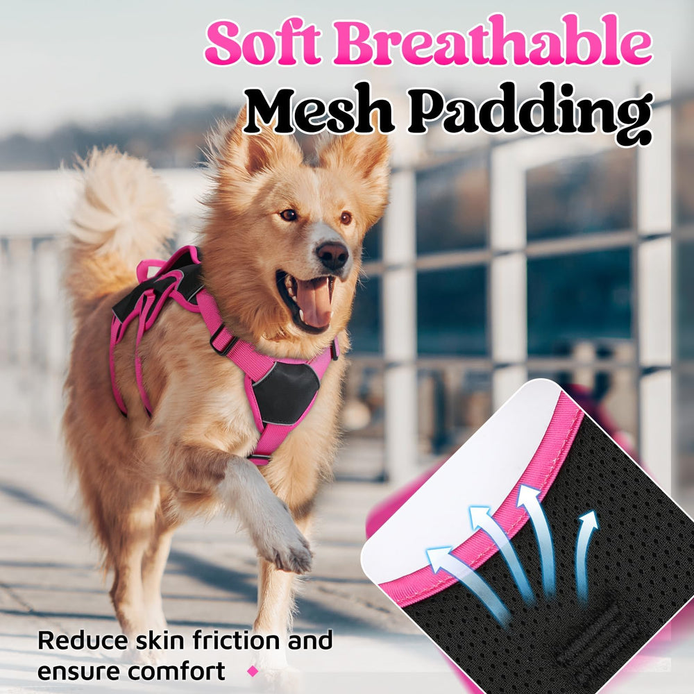 rabbitgoo dog harness back view showing the metal D-ring.