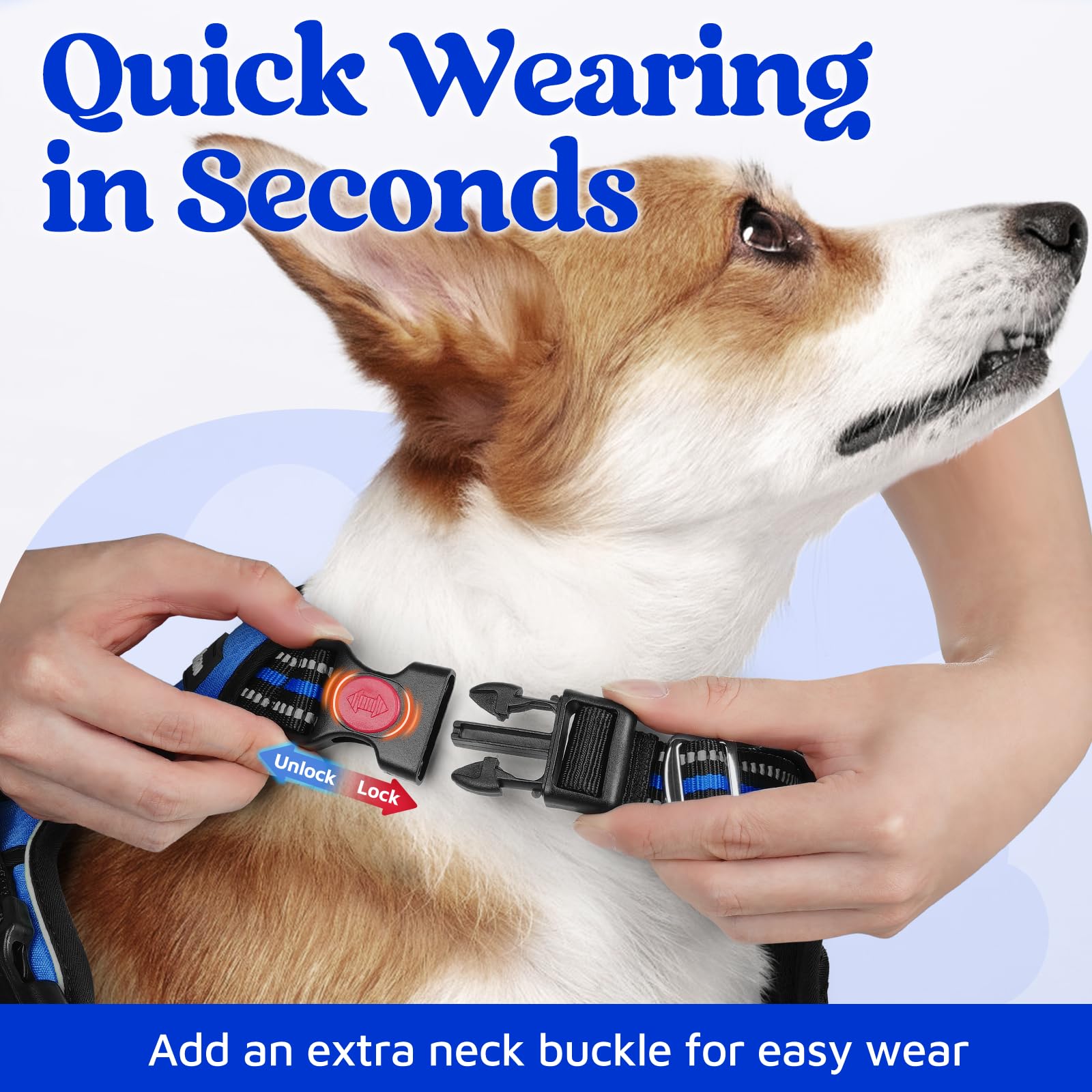 rabbitgoo dog harness shown from the back.