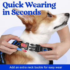 rabbitgoo dog harness shown from the back.