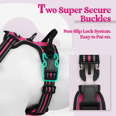 rabbitgoo dog harness detail highlighting the breathable mesh fabric.