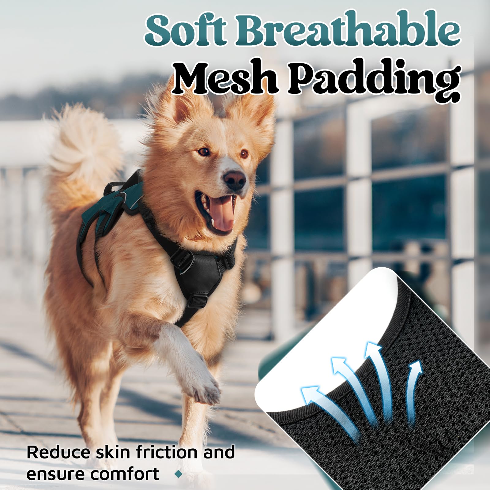 rabbitgoo dog harness detail showing the breathable padded mesh.