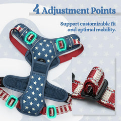 rabbitgoo Dog Harness close-up highlighting its breathable mesh fabric.