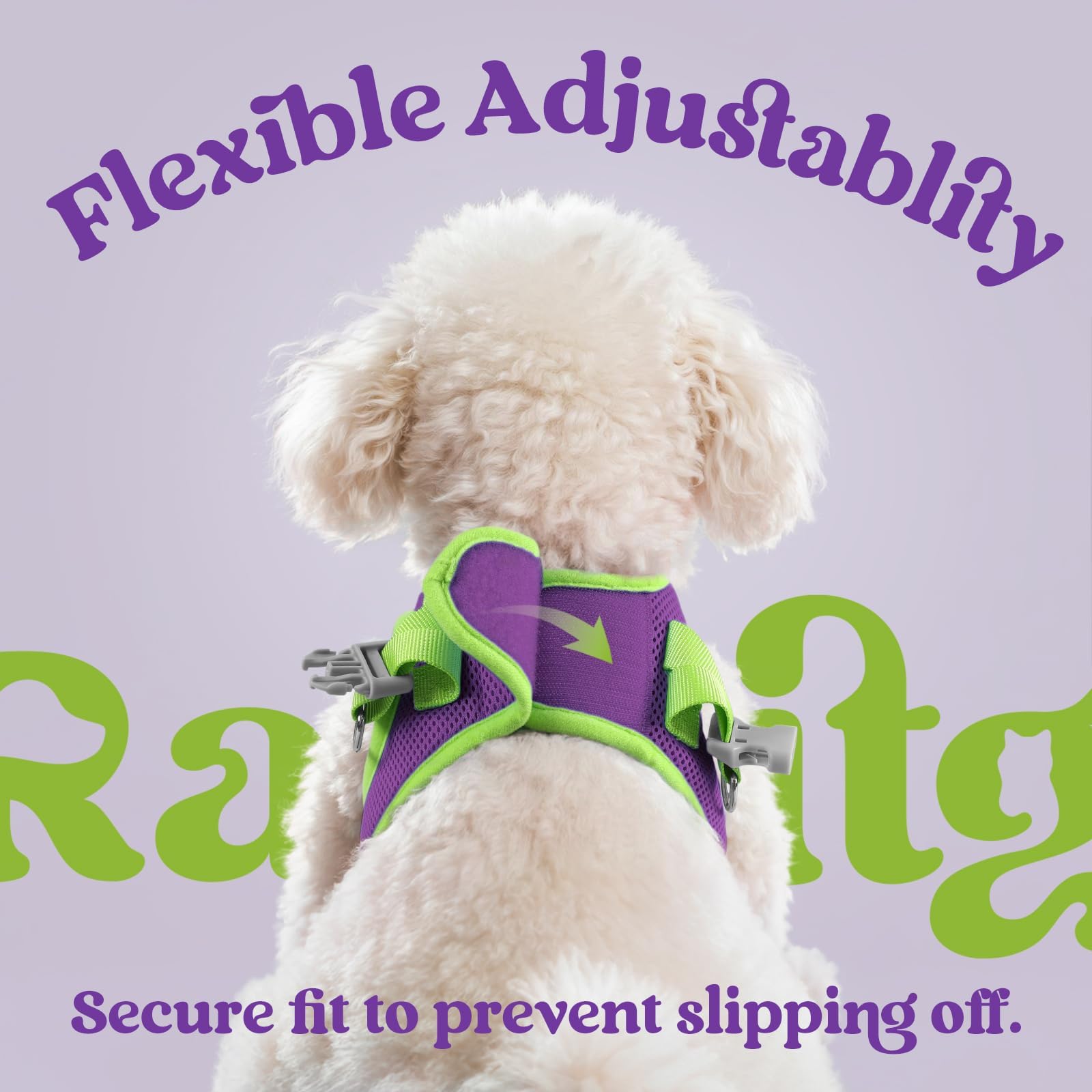 rabbitgoo dog harness detail showing its fastening buckle