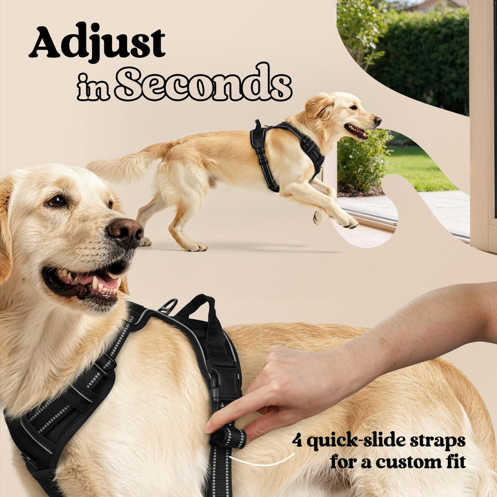Quick-release buckle detail on the rabbitgoo dog harness.