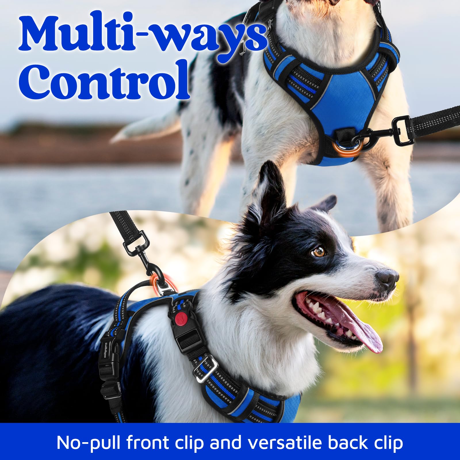 rabbitgoo dog harness buckle and red locking button detail.