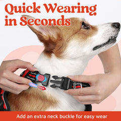 rabbitgoo dog harness buckles shown for putting it on and taking it off.
