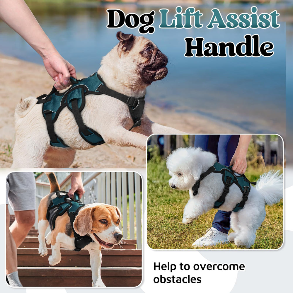 rabbitgoo dog harness chest and belly straps shown for a closer look.