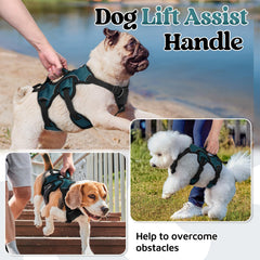 rabbitgoo dog harness chest and belly straps shown for a closer look.