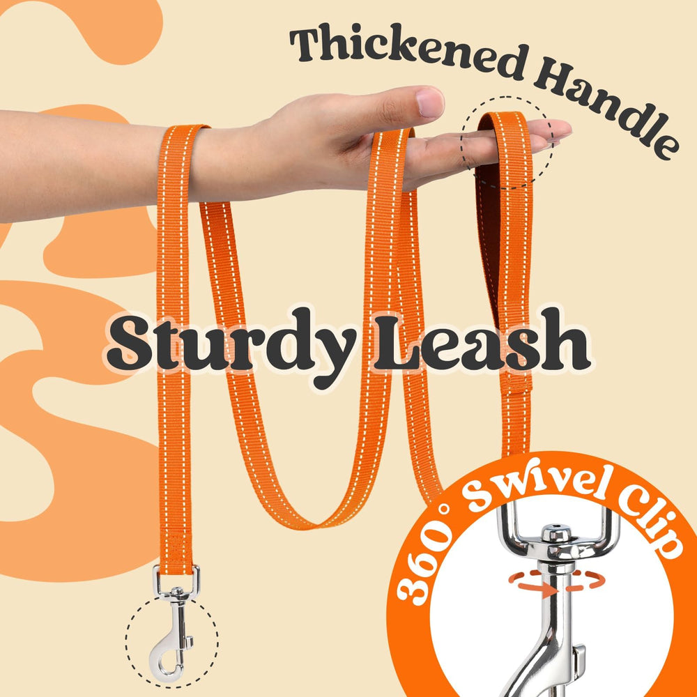rabbitgoo dog harness set showing the leash's cushioned handle.