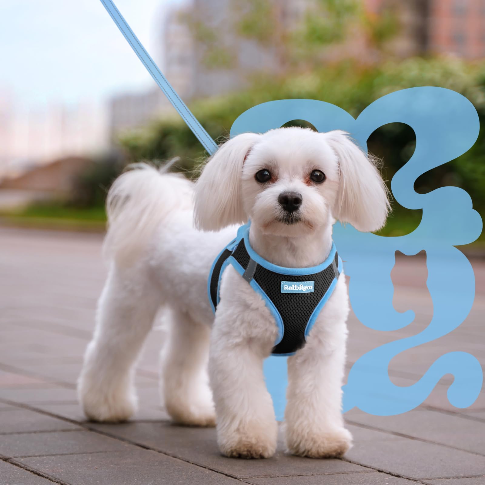 rabbitgoo dog harness set with a close-up of the cushioned leash handle.