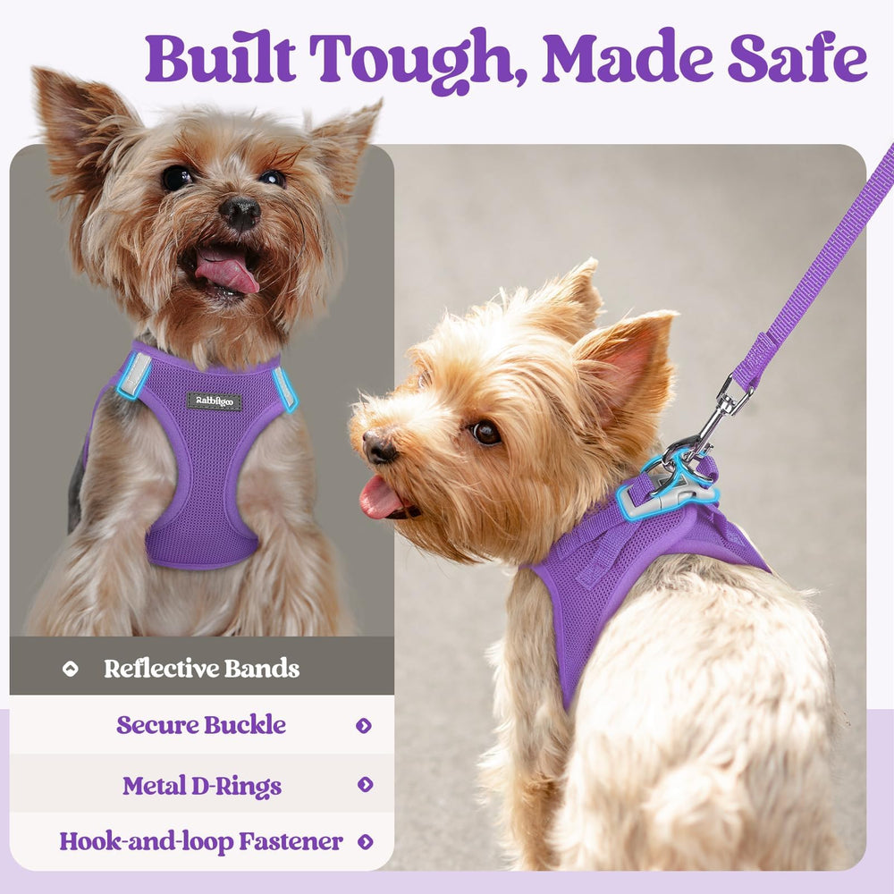 rabbitgoo dog harness detail showing its two D-rings.