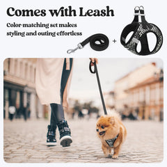 Two D-rings on the rabbitgoo dog harness.
